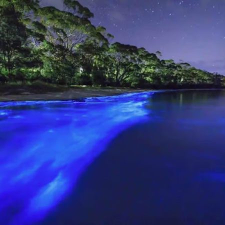 54166e900db99c3d0787abe82a5d8a1b7c8a5a860851da83e6b009aa53f7202b