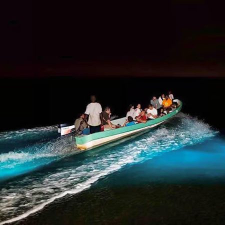 8bcbf8abe56b079b9d861b332cce4a15527695cef710deb59a5242c6c00b541c