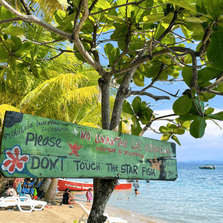 Bocas-del-Toro-digital-nomad-guide-Playa-Estrella