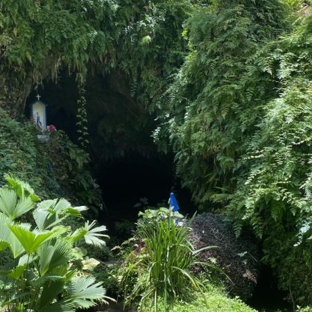 IMG_8137_22b55000-c97d-4b98-ab9d-828fdaed820a